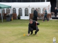 jubilæumsgolf 081