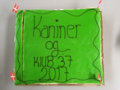 Afslut-Kanin2017 (24)