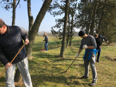 arbejdsdag2019-18