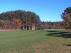 cross-country-2016 (12)