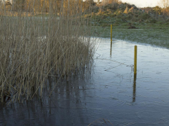 vinter (13)
