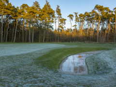 vinter (15)