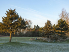 vinter (19)