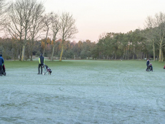 vinter (20)