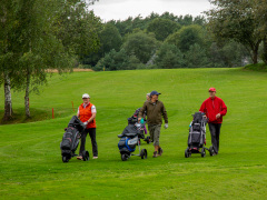 greensome-uge34-4