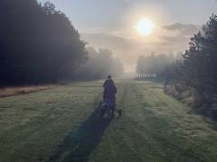 smuk-morgen