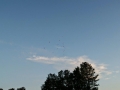 DSC03399
