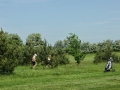DSC03064