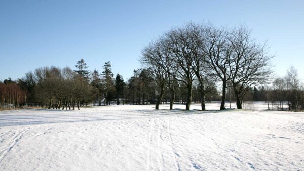Vinter - hul 17. Snedækket.